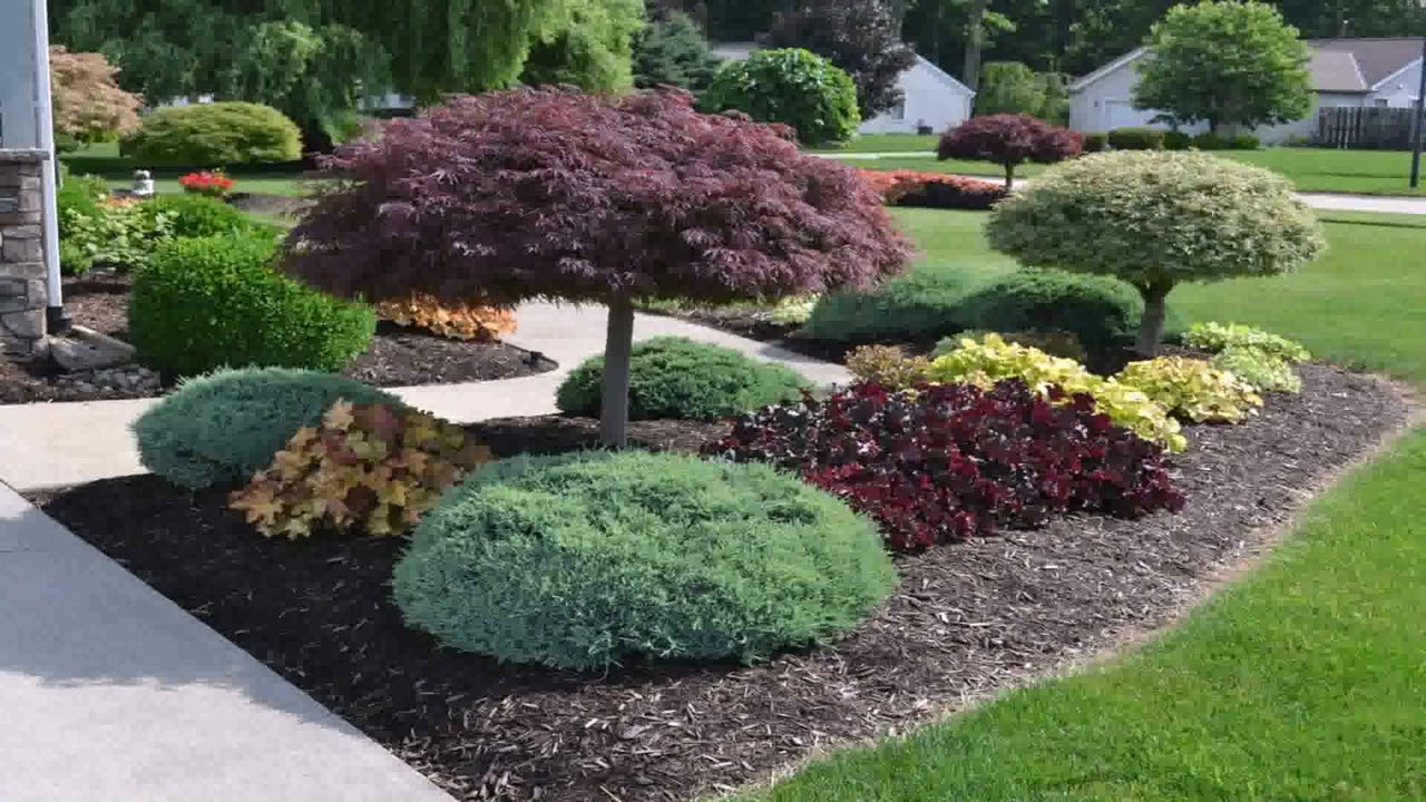 Front Yard Landscaping Rules