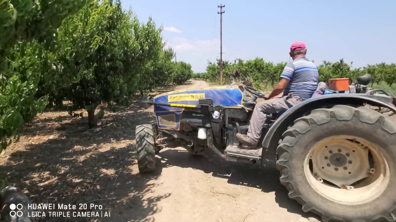 Newholland tn 70 na Küçük ama işlevi büyük bahçe traktörü ne tarla ekipmanı  takılırsa ne mi olur