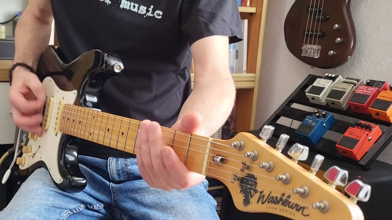 Washburn Lyon Series.How Does It Sound?