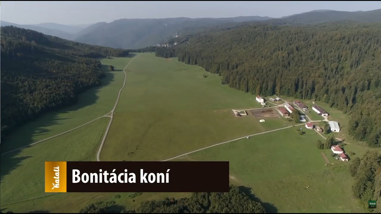 Jesenná bonitácia koní