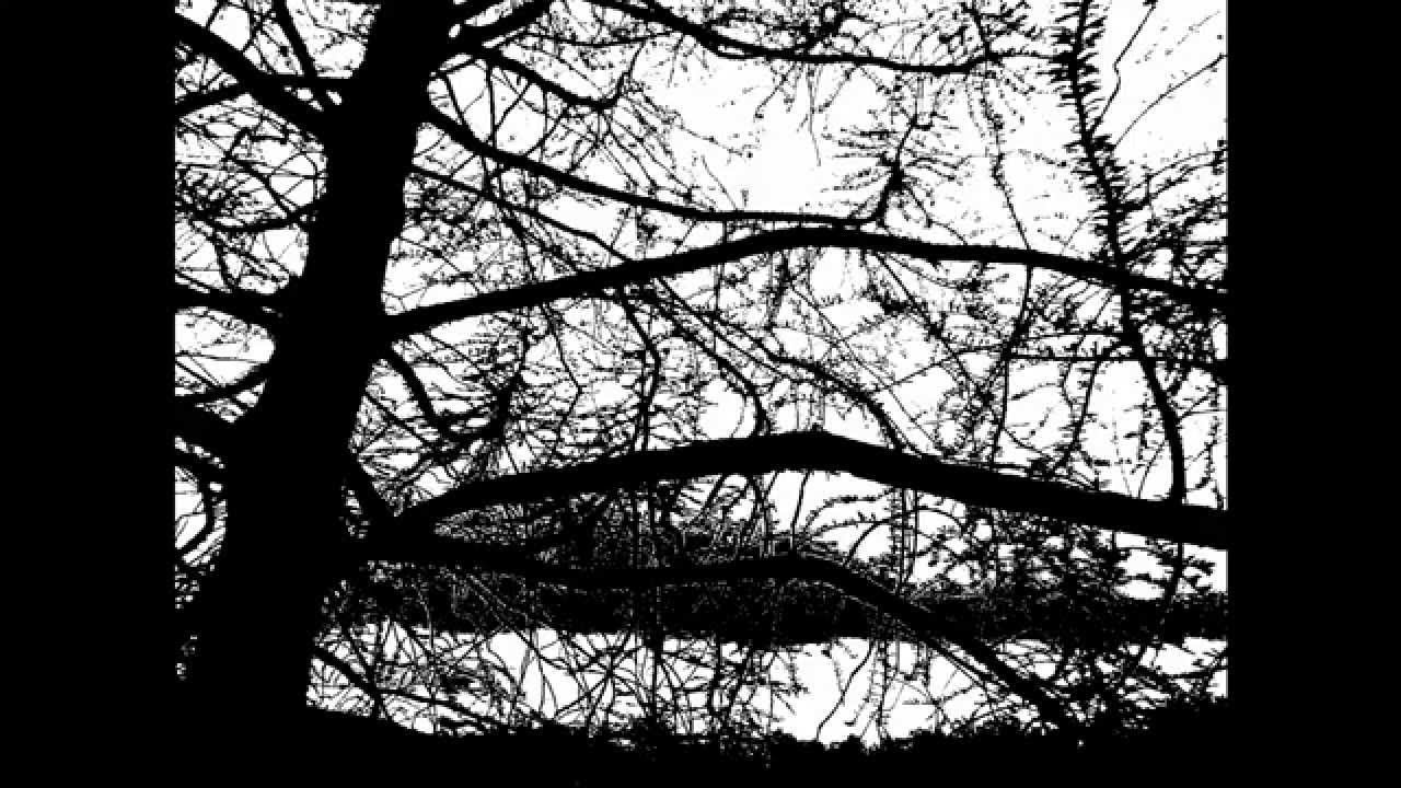 Trixcis - A New Life - Dramatic, Loud, and Catchy Piano Music