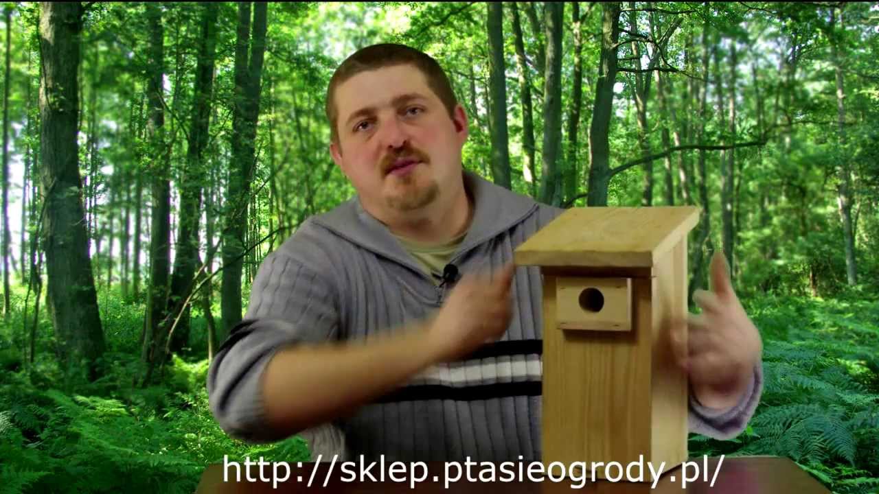 budki lęgowe dla ptaków cz. 1 - wprowadzenie