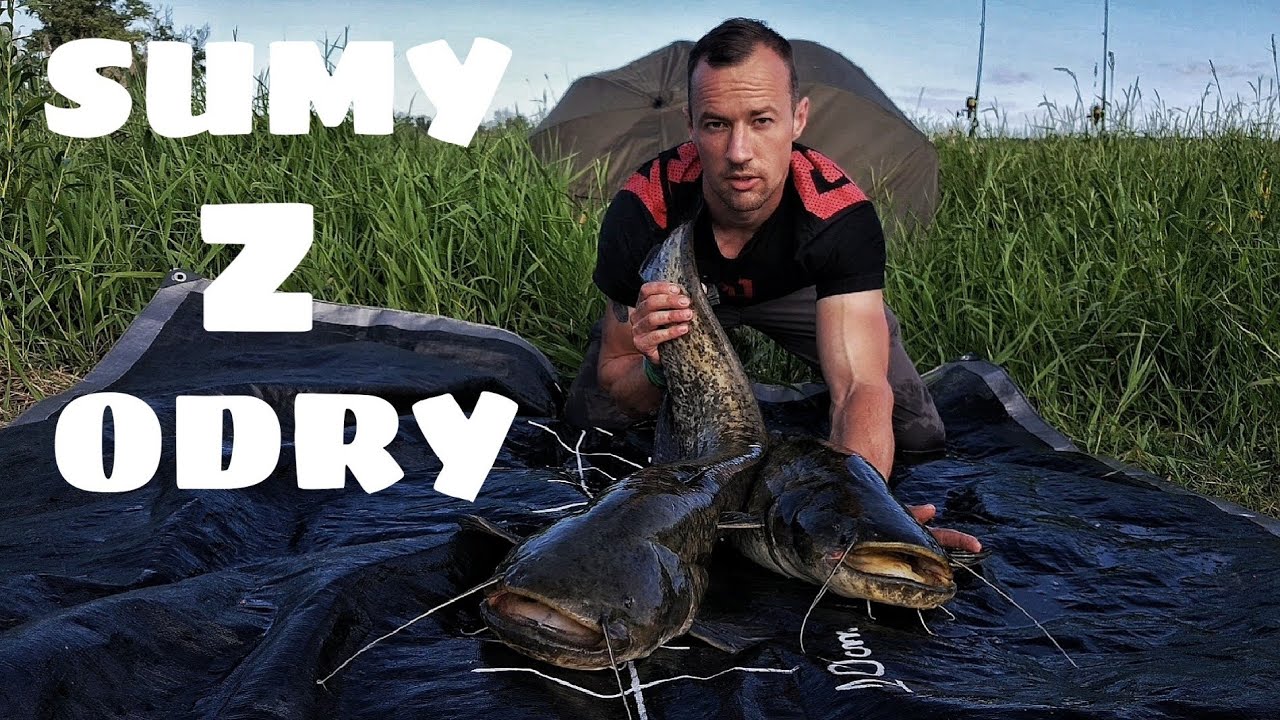 Rozpoczęcie sezonu sumowego 2020 | 4 brania w 2 doby| Wędkarstwo sumowe | #30