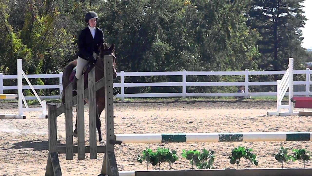 Erin Griffith ~ Novice Fences