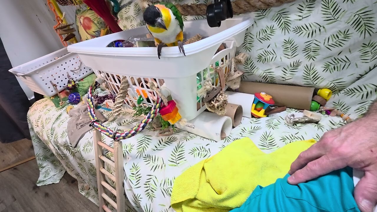 It's Gilly and Kyle's turn for some long recess time ♥️🥰♥️