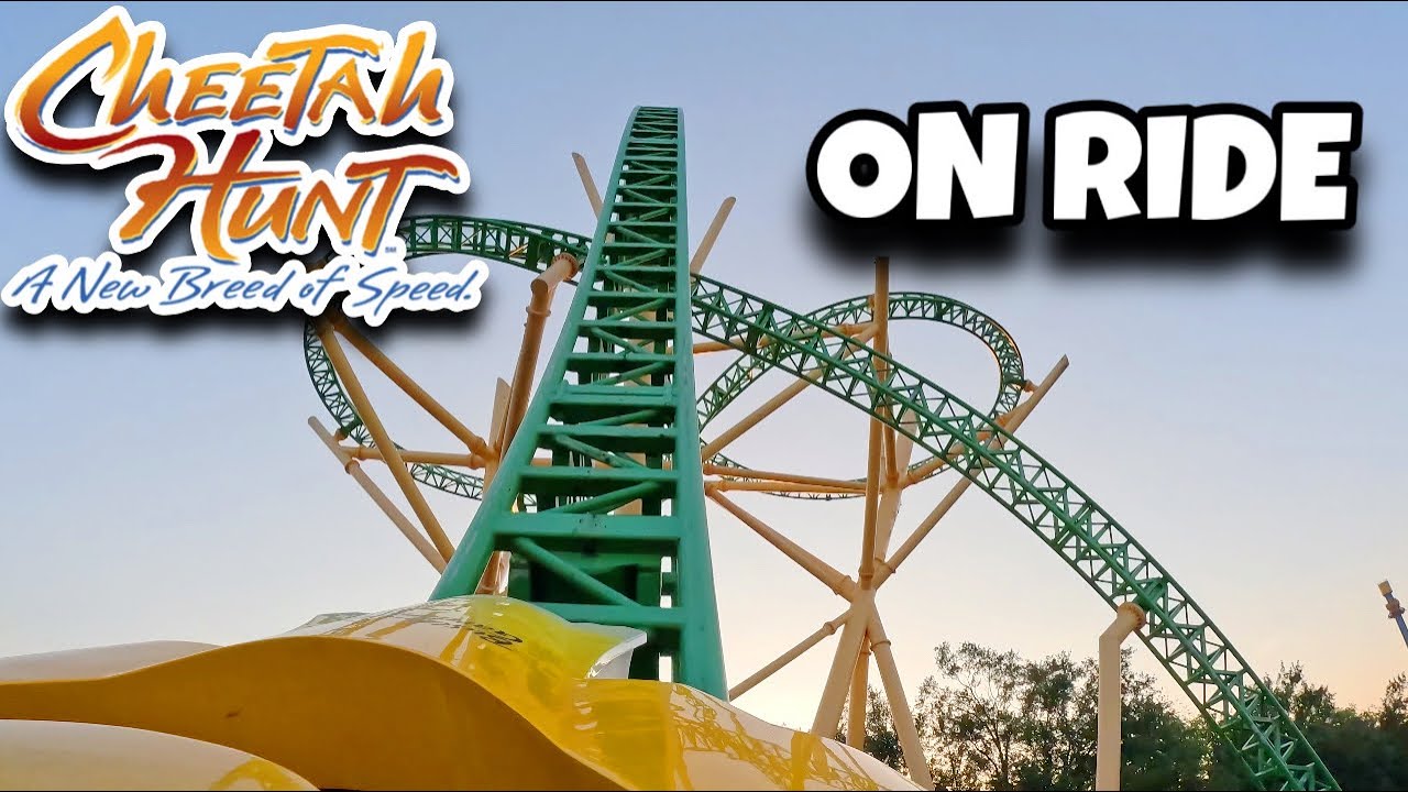 CHEETAH HUNT | ON RIDE POV | BUSCH GARDENS TAMPA
