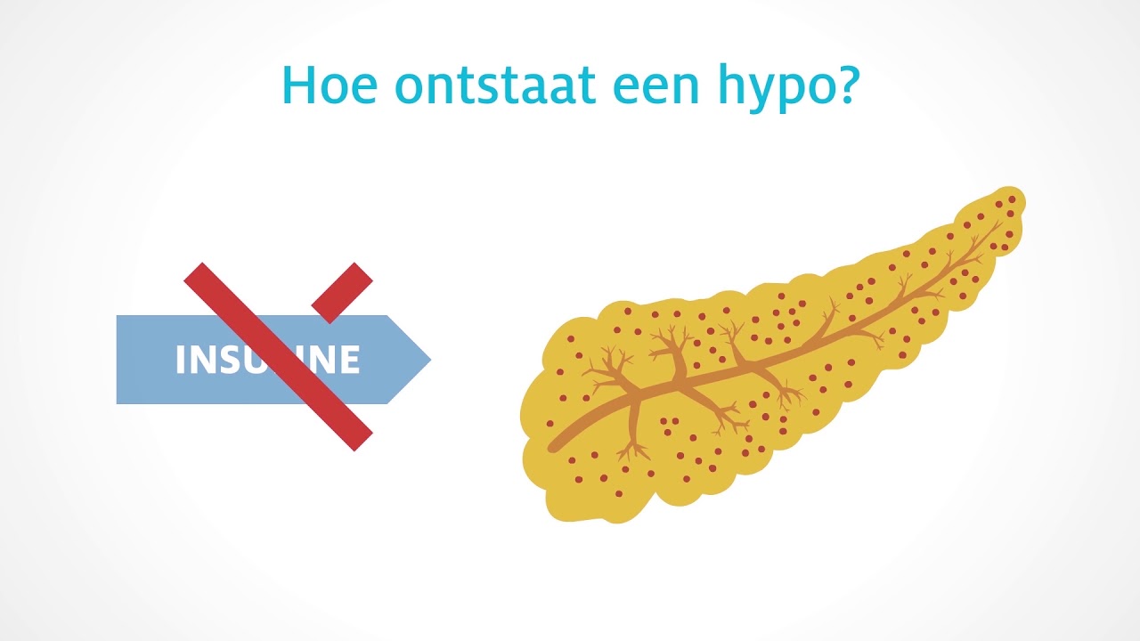 Hoe ontstaat een hypoglykemie?