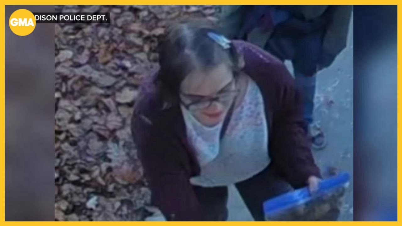 'Slender Man' stabbing assailant Morgan Geyser flees group home: Police
