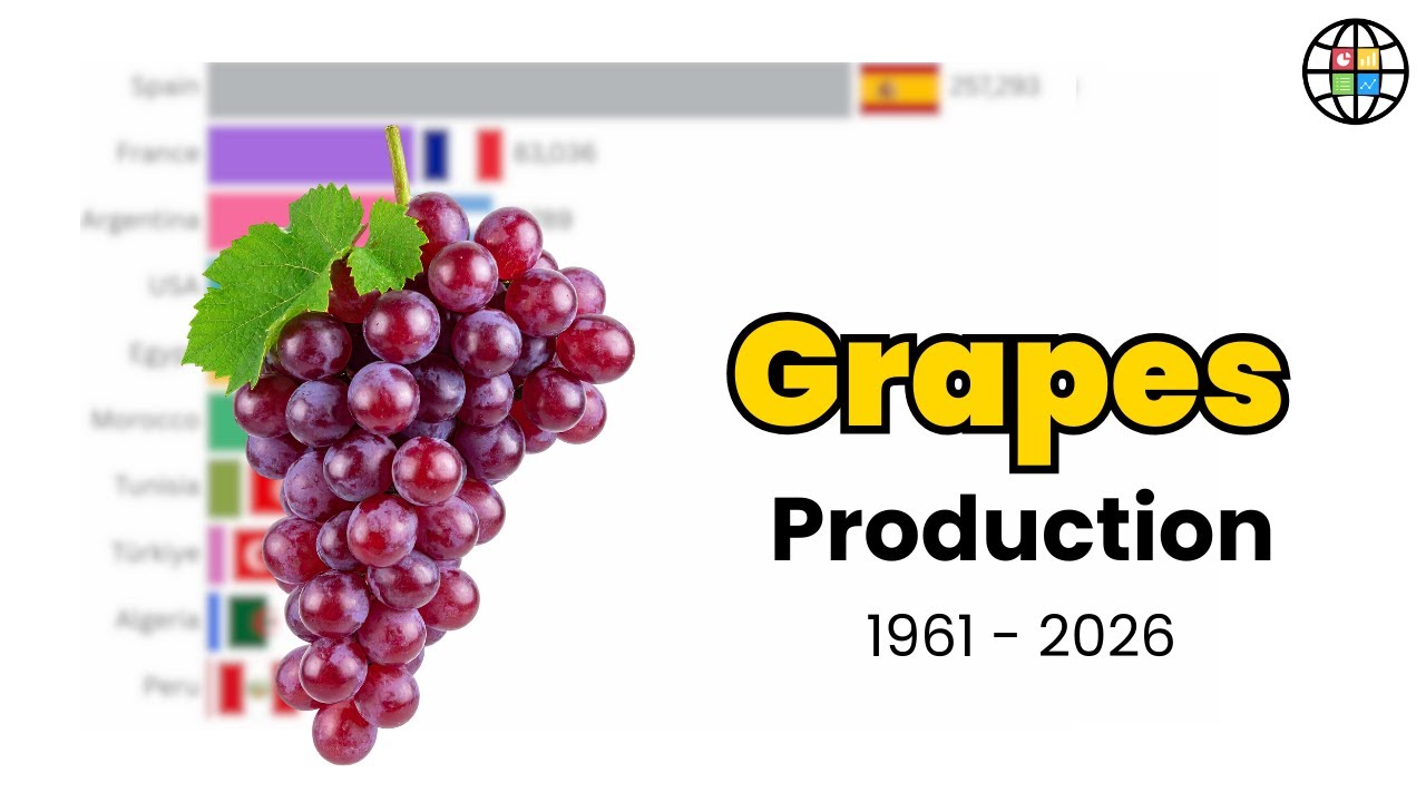 Who Dominated GRAPES Production? | Global Producing Ranking 1961–2026
