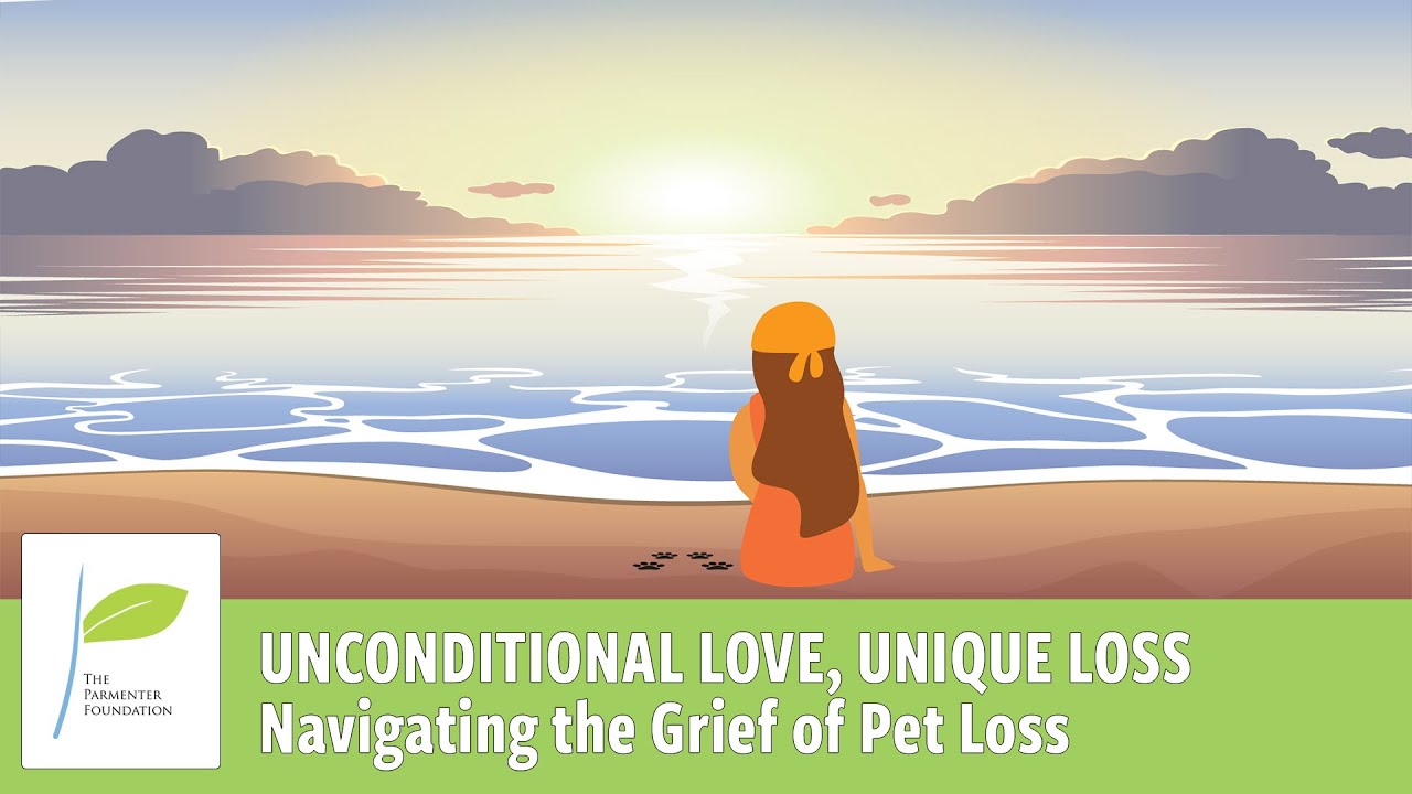 Navigating the Grief of Pet Loss | The Parmenter Foundation