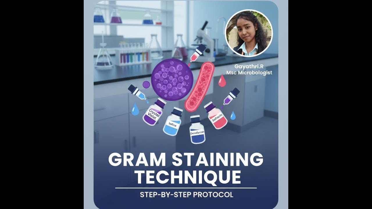 "Learn Gram Staining in 5 Minutes | Microbiology Practical for Students"