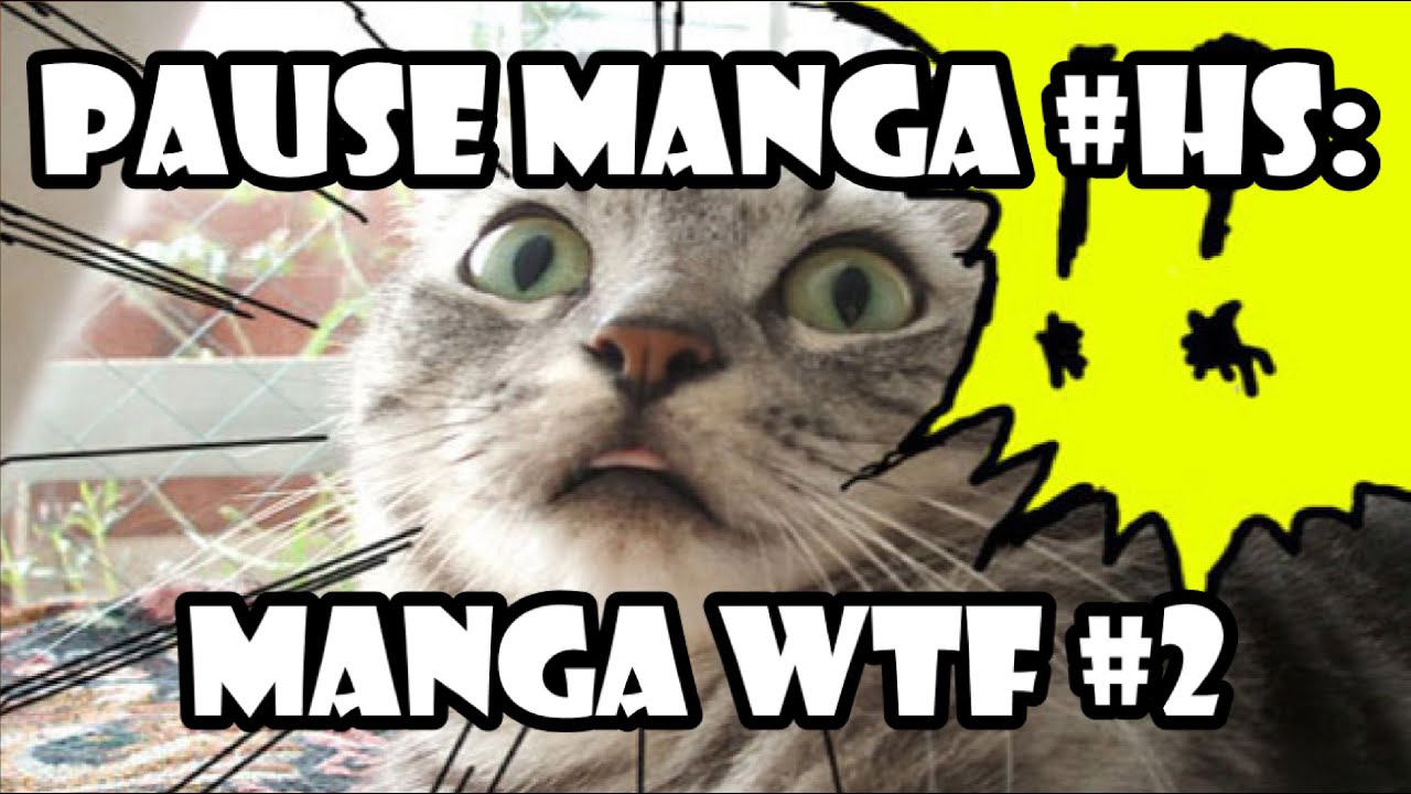 Pause Manga HS: Manga WTF #2
