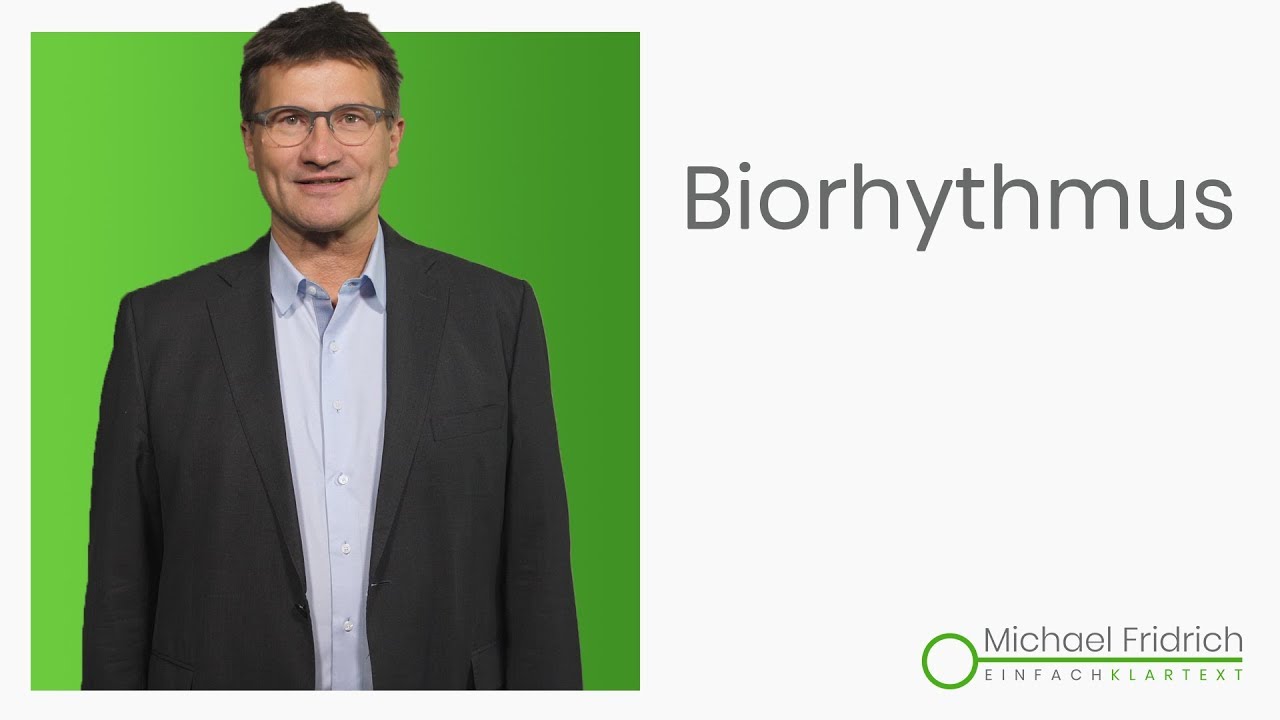 Biorhythmus und Erfolg – Ihre optimale Tagesroutine leicht gemacht