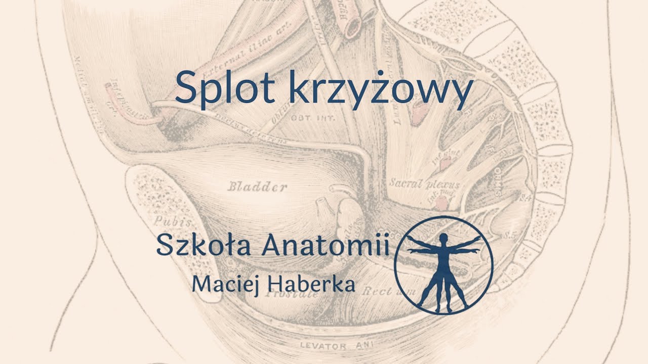 Splot krzyżowy (pełna wersja)