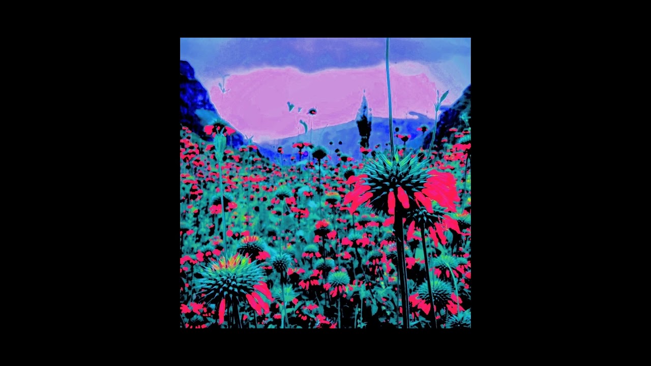 Track.35