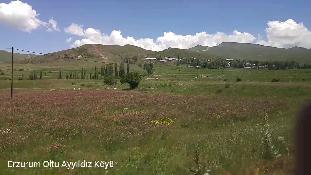 Erzurum Oltu Ayyıldız Köyü