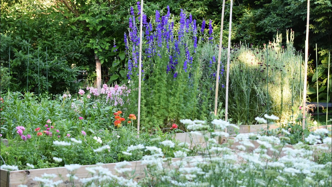 Cool Flowers Garden Tour // Cut Flower Garden Hardy Annuals // Northlawn Flower Farm