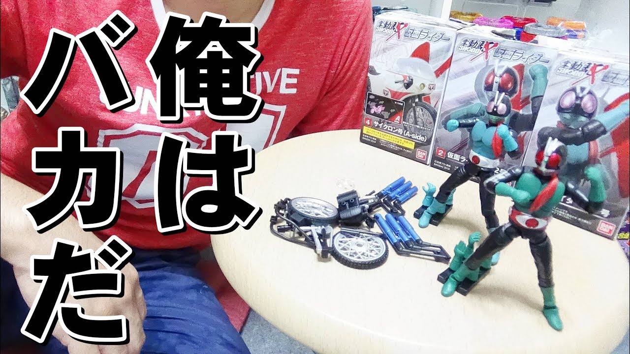 ウソやろ・・・ [食玩] SHODO-X 仮面ライダー （掌動駆仮面ライダー）