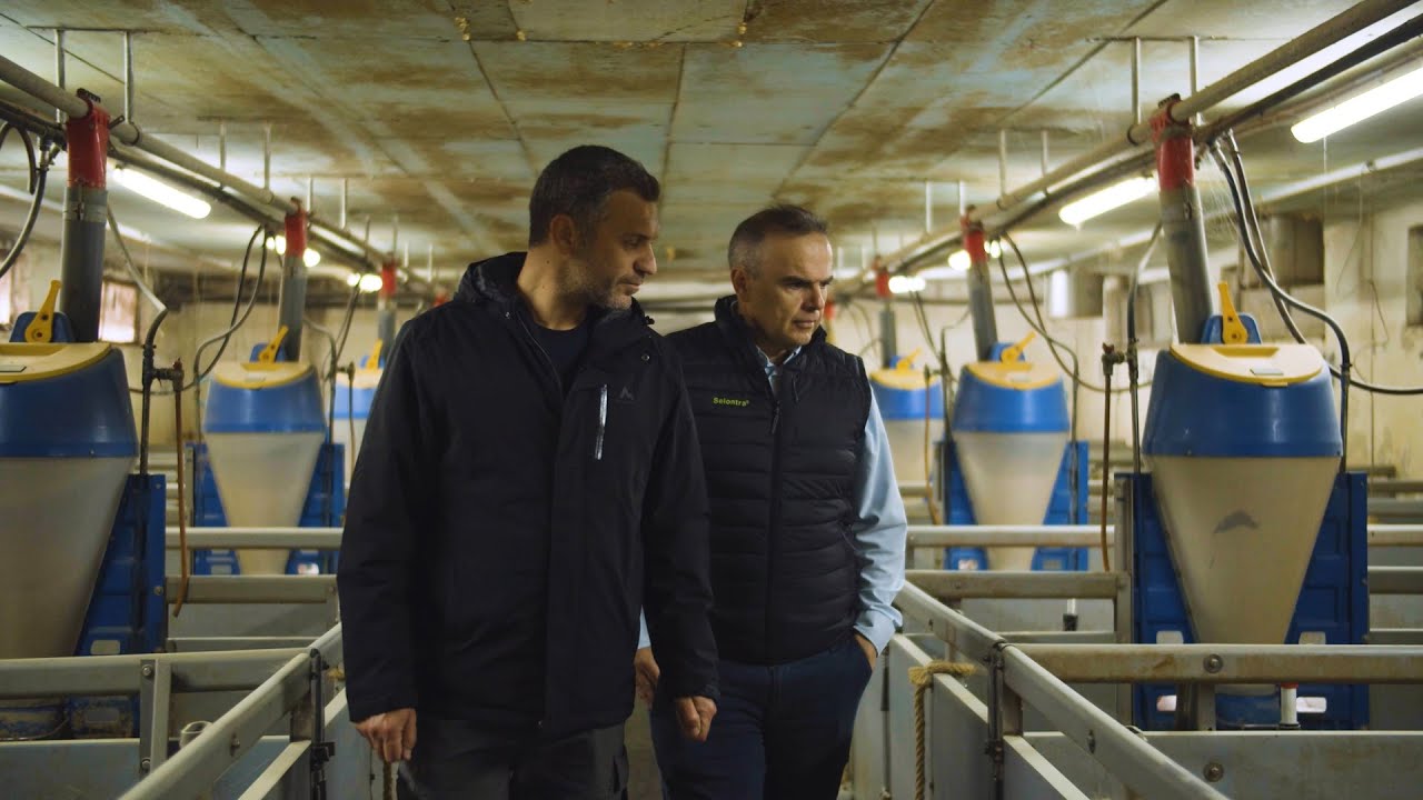 Δοκιμή Selontra ® σε χοιροτροφική μονάδα στο Αγρίνιο