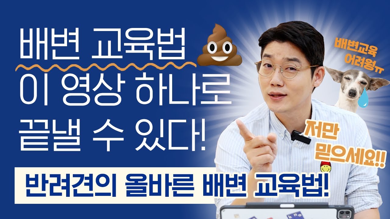 강아지 배변 교육 확실한 방법 알려드릴게요! 🚽 l 배변 교육법 l 설채현 행동학 수의사