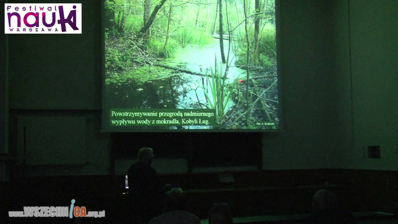 Bagno wciąga - prof. Andrzej Kozłowski