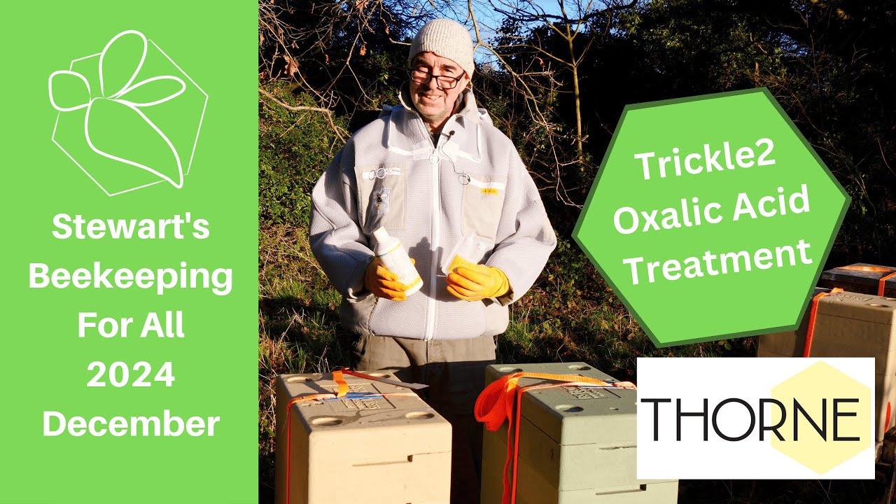 Trickle2 Oxalic Acid Treatment with Premixed Apibioxal
