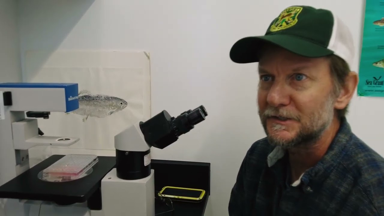 Vermont Fish and Wildlife's Fish Health Program