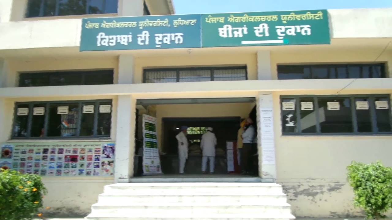 Go for Seed of Paddy Varieties recommended by PAU