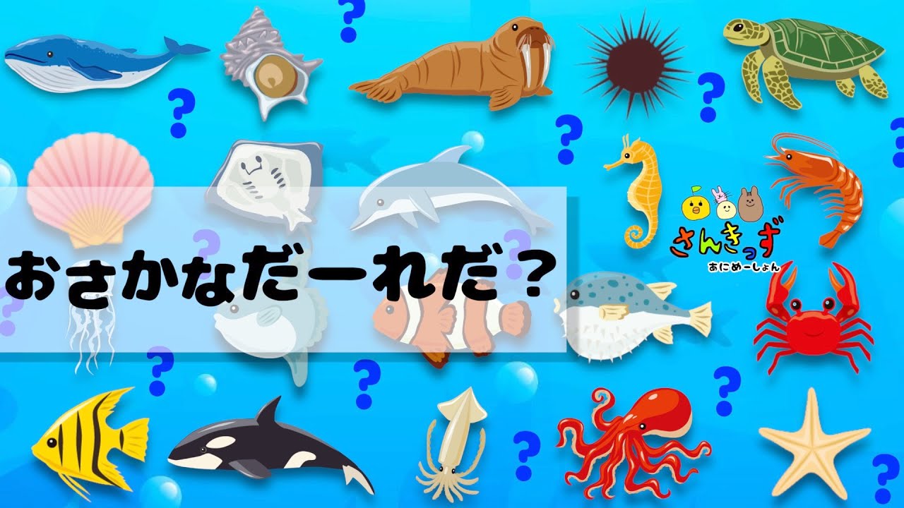 海の生き物 や お魚さん だーれだ？sea animals quiz イルカ シャチ クジラ カクレクマノミ  おさかないっぱい★ 子供向け 知育アニメ 動体視力トレーニング