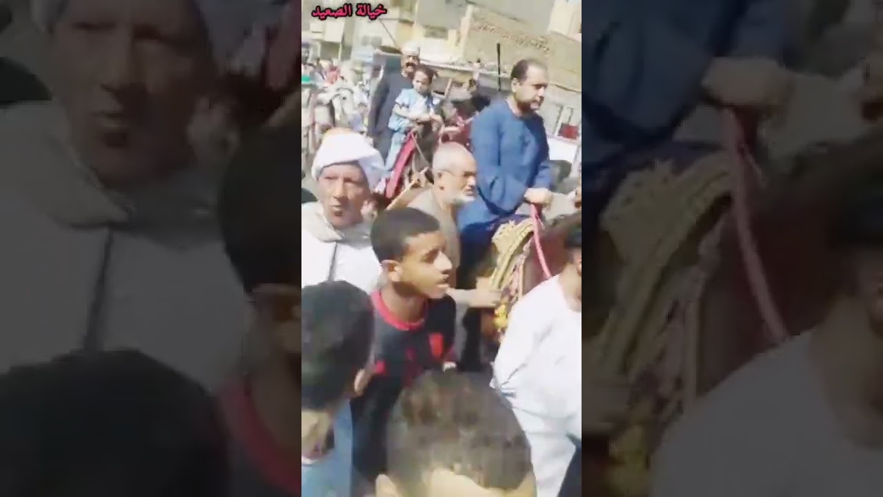 دشنا،،، قوص،،، دندرة،،، الاقصر،،، قنا،،، سوهاج شاهد إحتفالات صعيد مصر بالمولد النبوي الشريف