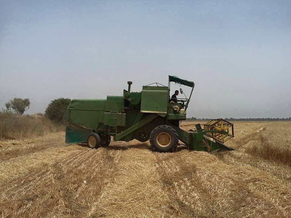 Moisson 2015/John Deere 955 6205 5725 349