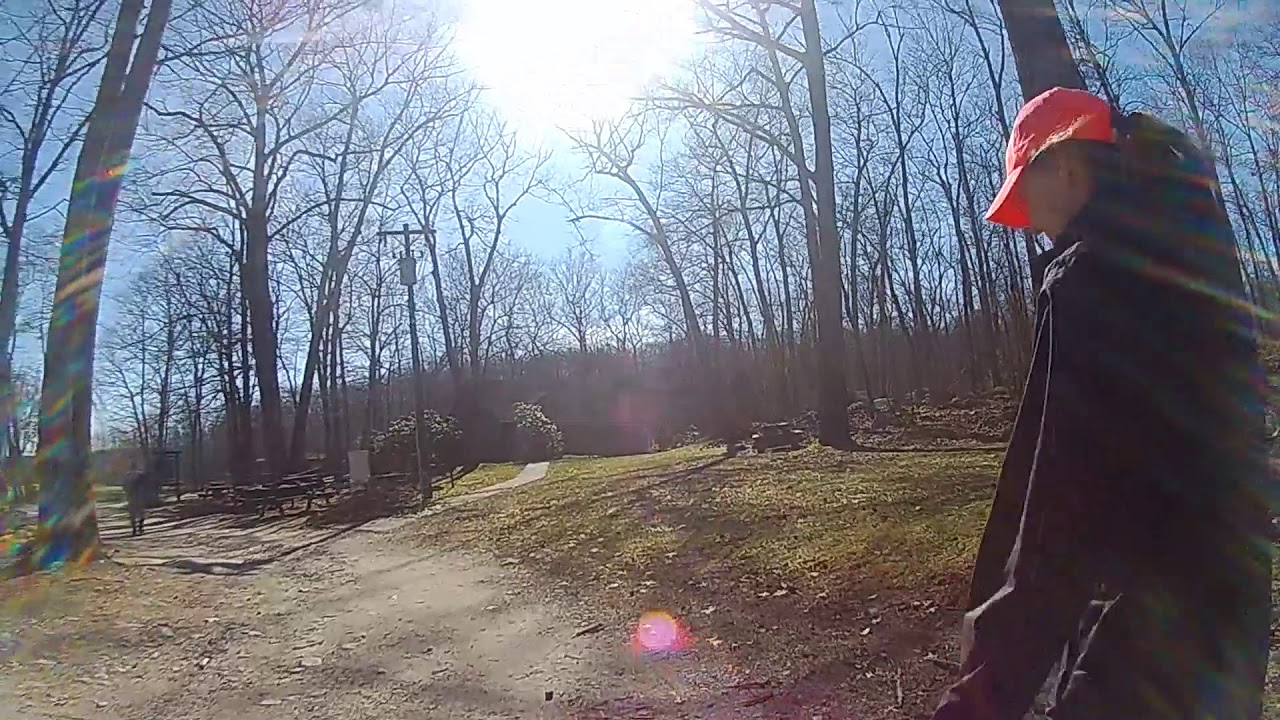Douglas State Forest-Wallum Lake Hike