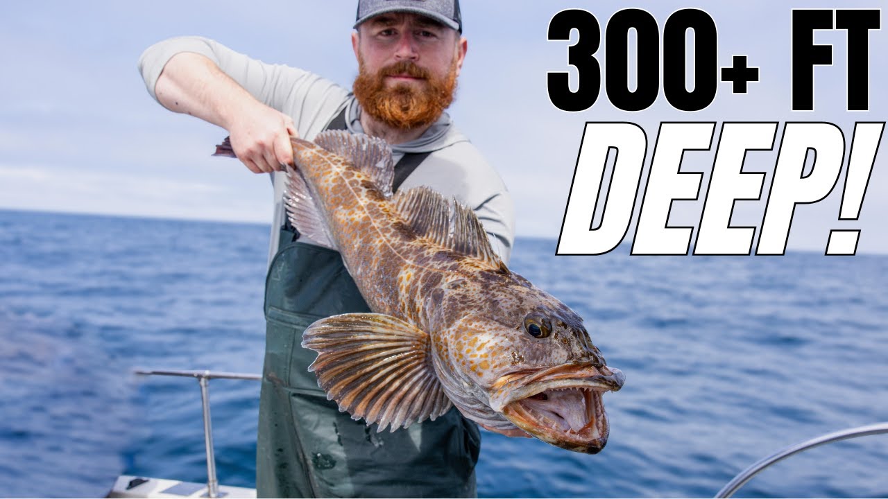 Deep Water Fishing for Big Lingcod