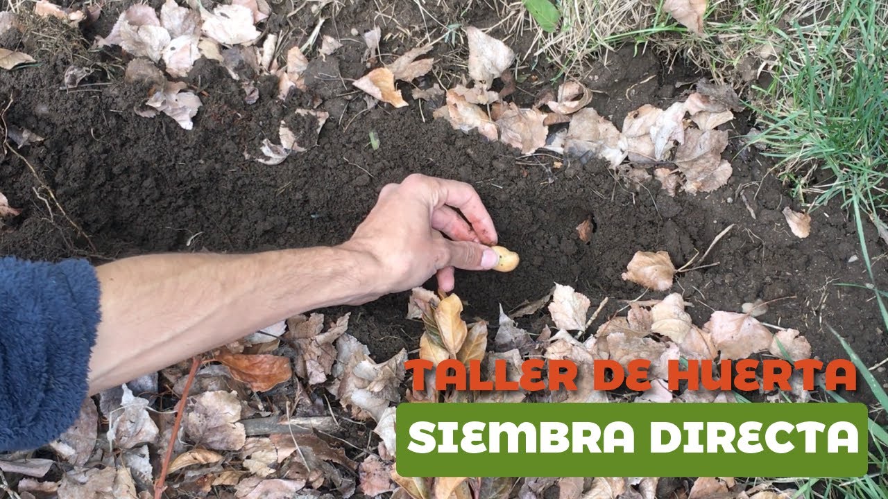 Siembra Directa - Taller de Huerta Agroecol&oacute;gica