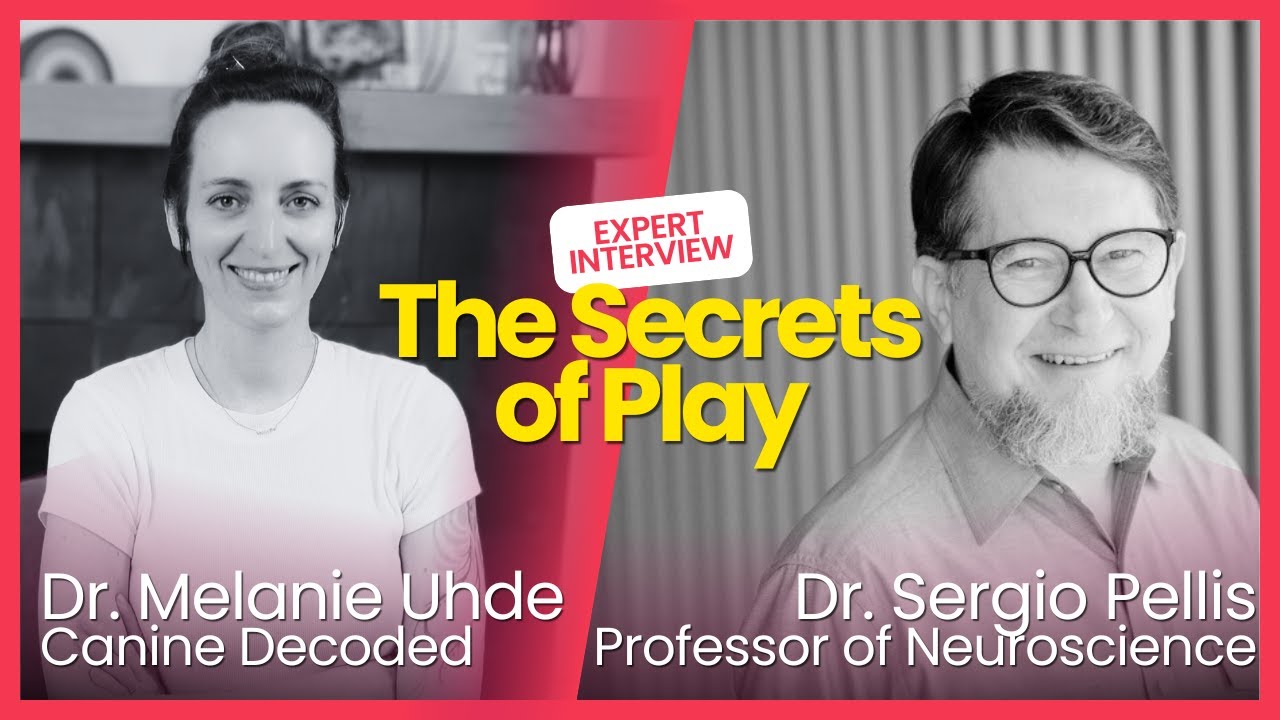 UNTOLD - The Phenomenon of Play