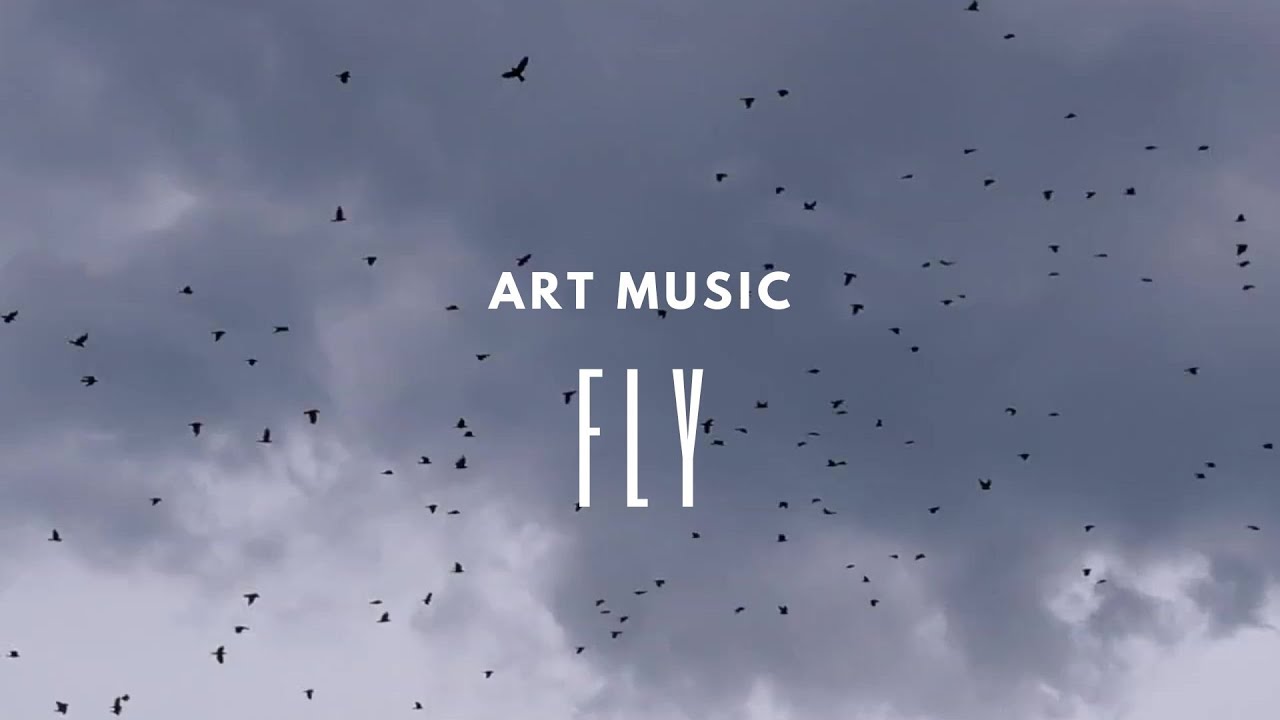 Art Music - Fly