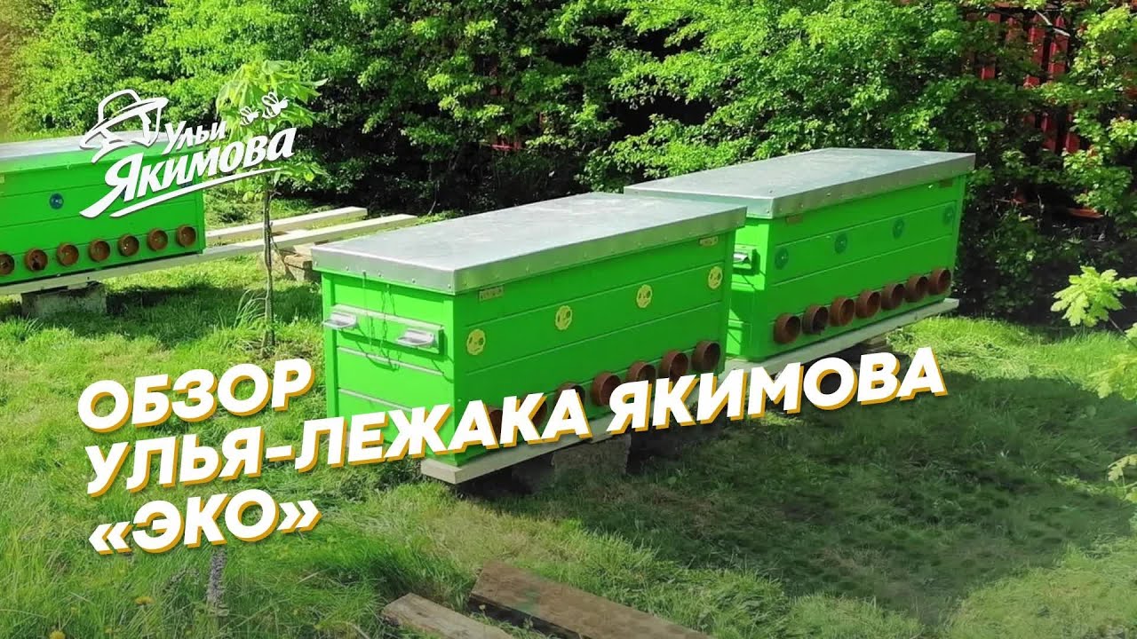 В чём секрет ульев-лежаков Якимова «ЭКО»?