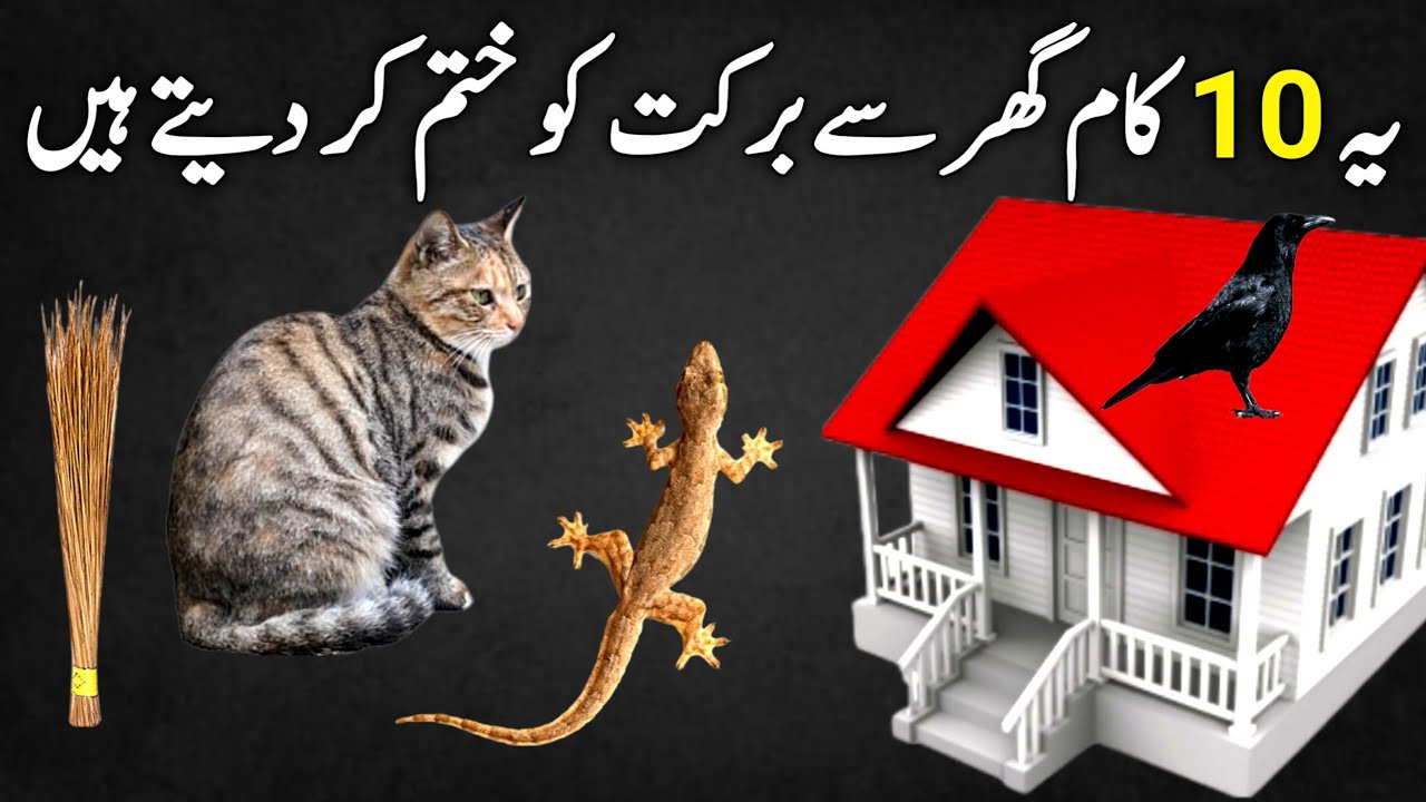 Ghar se Barkat ko khatam kerne wale 10 kaam | Islamic Knowledge | ghar me garibi l Islamic Voice Hd