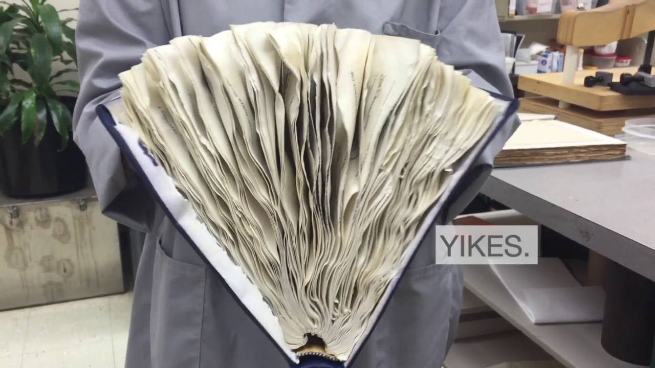 Wet Book Rescue
