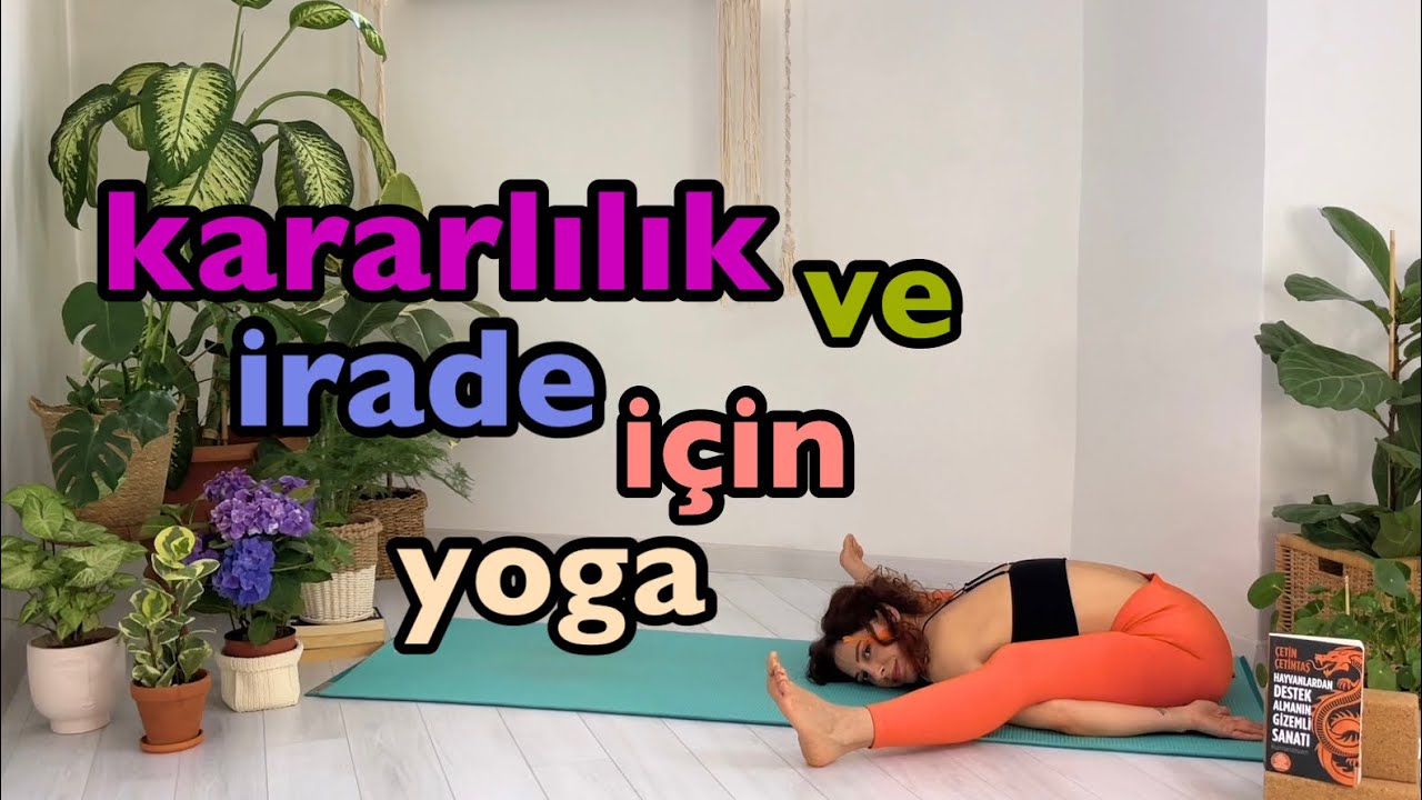 Kararlılık ve Yönetim için Yoga / Kaplumbağa Arketipi