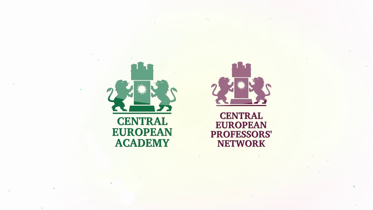 4. Alexander Graser - The Jurisprudence of the German Federal Constitutional Court