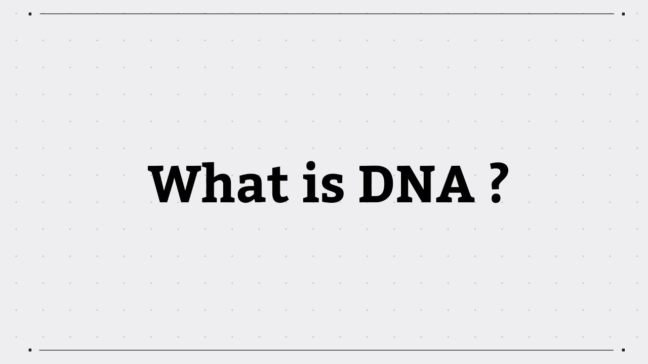 What is DNA?