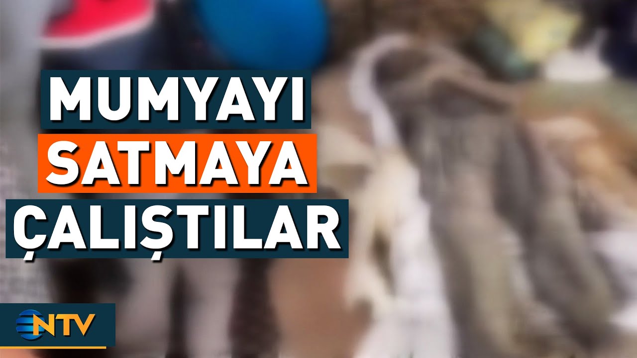 Niğde'de Orta Çağ Dönemine Ait Mumyayı Satmaya Çalıştılar | NTV