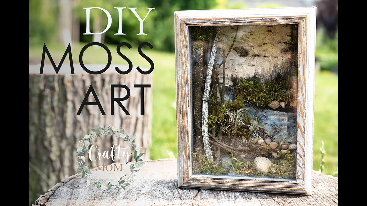 DIY Moss Frame Moss Art