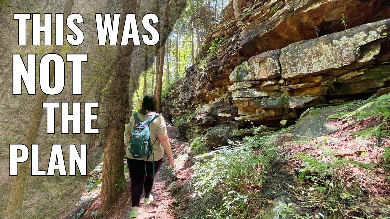 South Cumberland State Park, Tennessee. Easy Hike in Grundy Forest