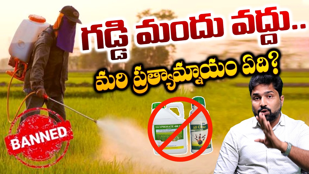 గడ్డి మందులు రైతులకు వరమా? శాపమా? Glyphosate & Paraquat అసలు నిజం | The4thEstate