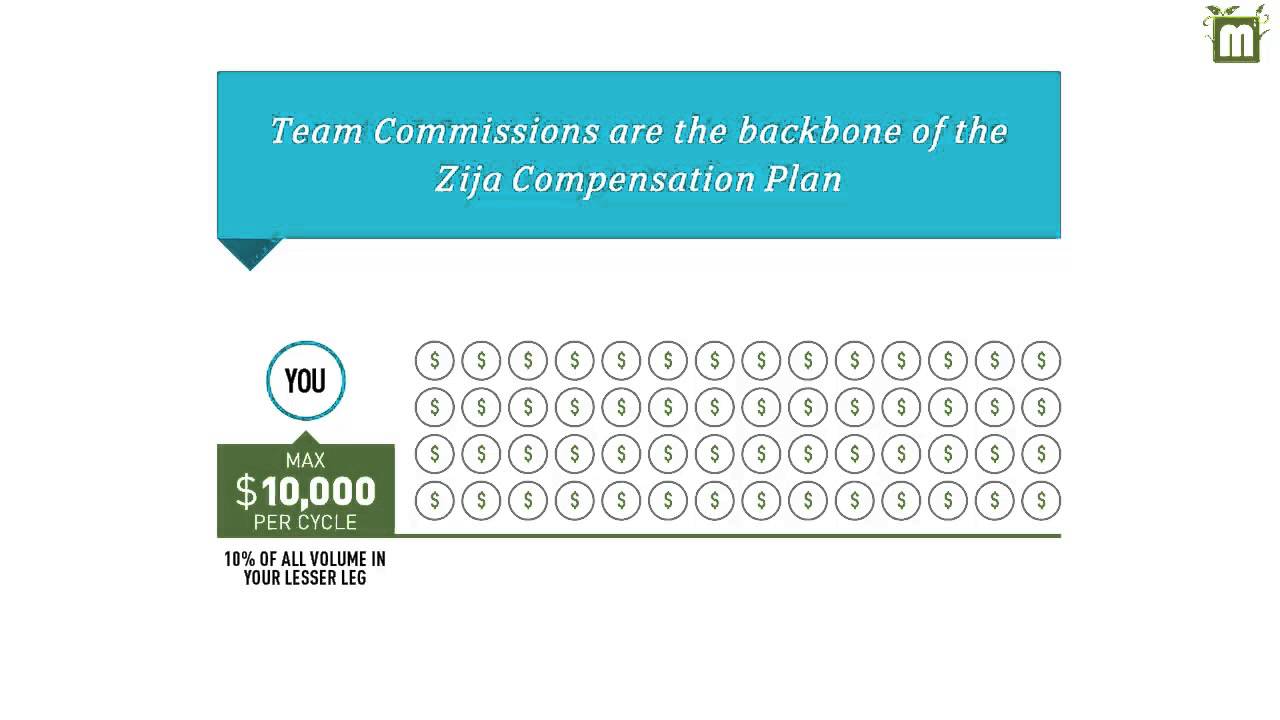 New Zija Compensation Plan 2014