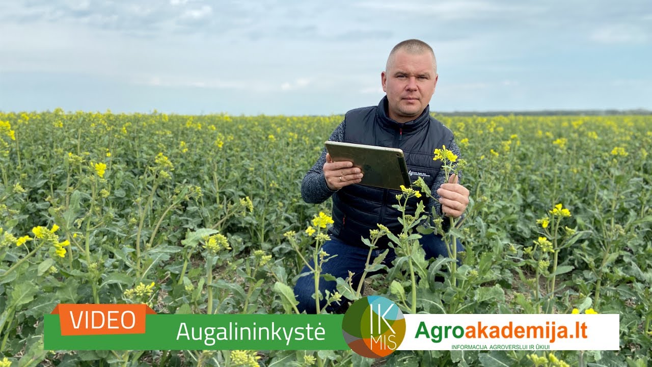 IKMIS 2023. Pasėlių stebėjimas &ndash; situacija Marijampolės rajone