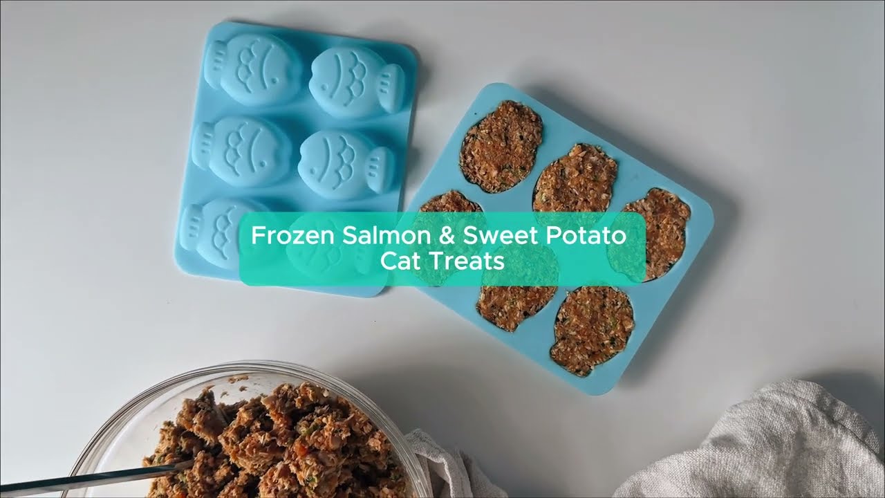 Frozen salmon and sweet potato cat treats