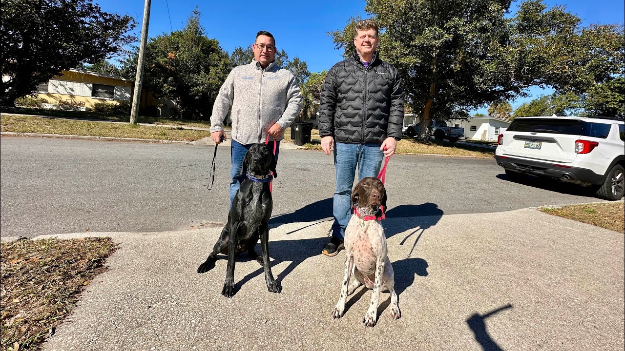 Two Unhinged GSP Housemates Transformed In 3 Weeks